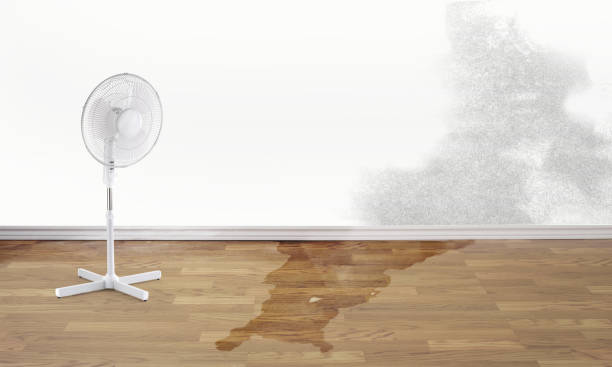 Best Ceiling water damage repair  in Valle Vista, CA