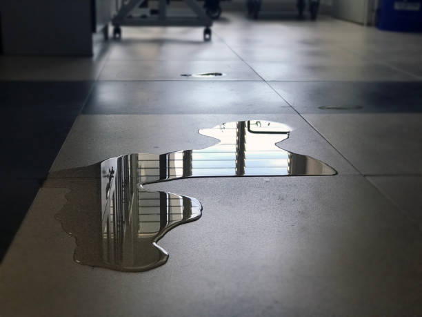 Best Water damage restoration services  in Valle Vista, CA