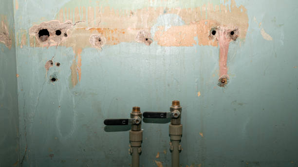 Best Flood damage cleanup  in Valle Vista, CA